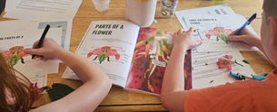 Homeschool Activities Near Me
