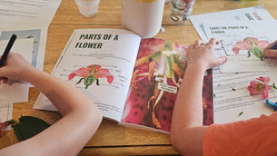 Homeschool Activities Near Me