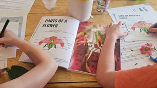 Homeschool Activities Near Me