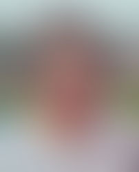 Judith DeLucia Cronizer