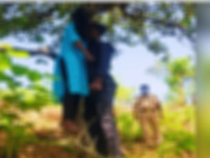 रायपुर ब्रेकिंग: पेड़ पर फंदे से लटके मिले युवक-युवती के शव.....