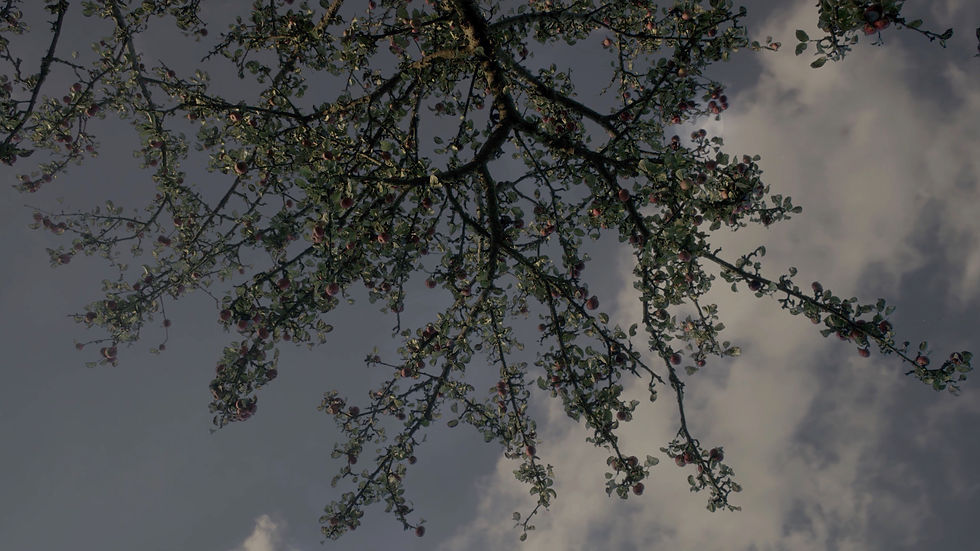 Video still, Pour Ambre