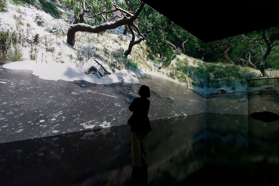 Exhibition view at Hwadamchae, Gwangju-si, South Korea