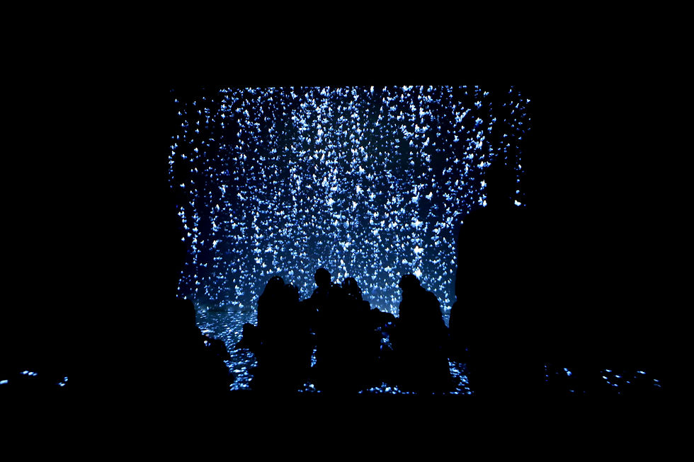 Exhibition view from Festival Némo at Le Centquatre (104), Paris, France