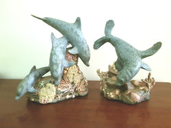 Dolphins & Seals Front