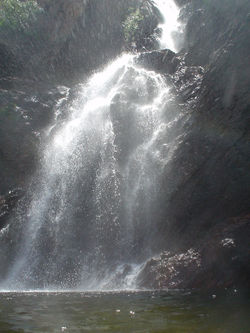 Wangi Falls Wet Season