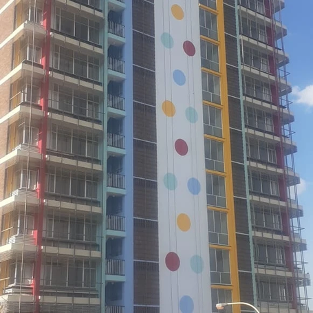Springs Social Housing Programme Project.jpg