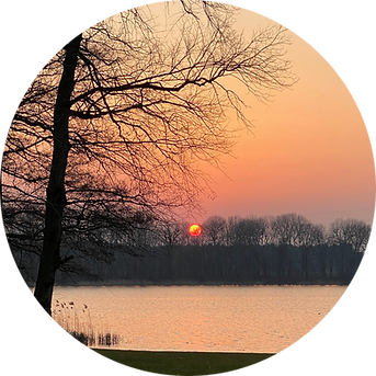 Design ohne Titel(6).png