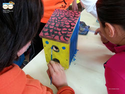 actividad cole7_Birdwatch Asturias