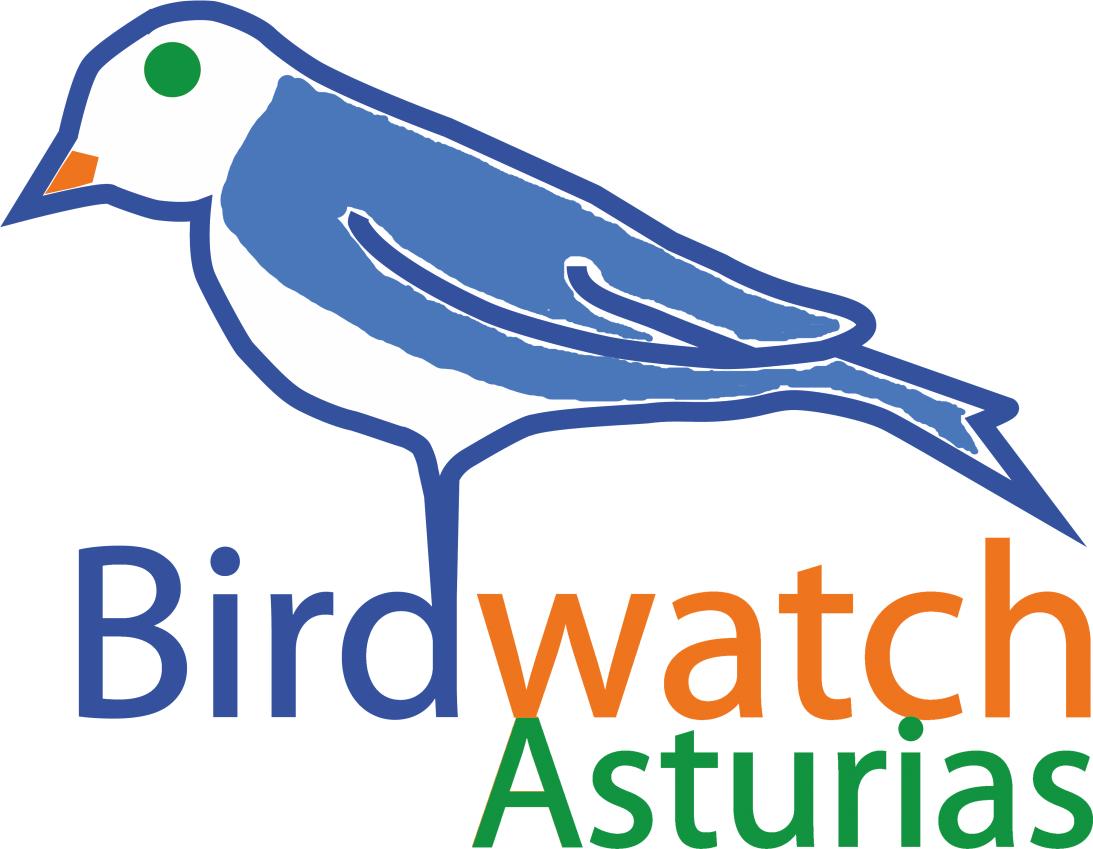 BIRDWATCH.gif