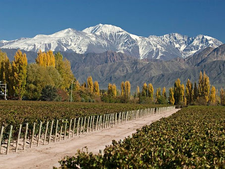 World-Famous Mendoza