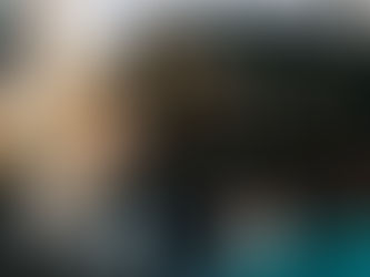 Navigating Complex Airports