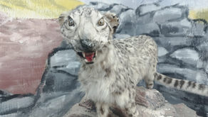 Our favourite quotes