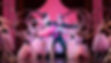 Nutcracker PDT.jpg
