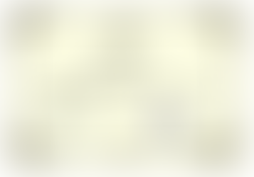 Donation to Wheelchair Friends Group