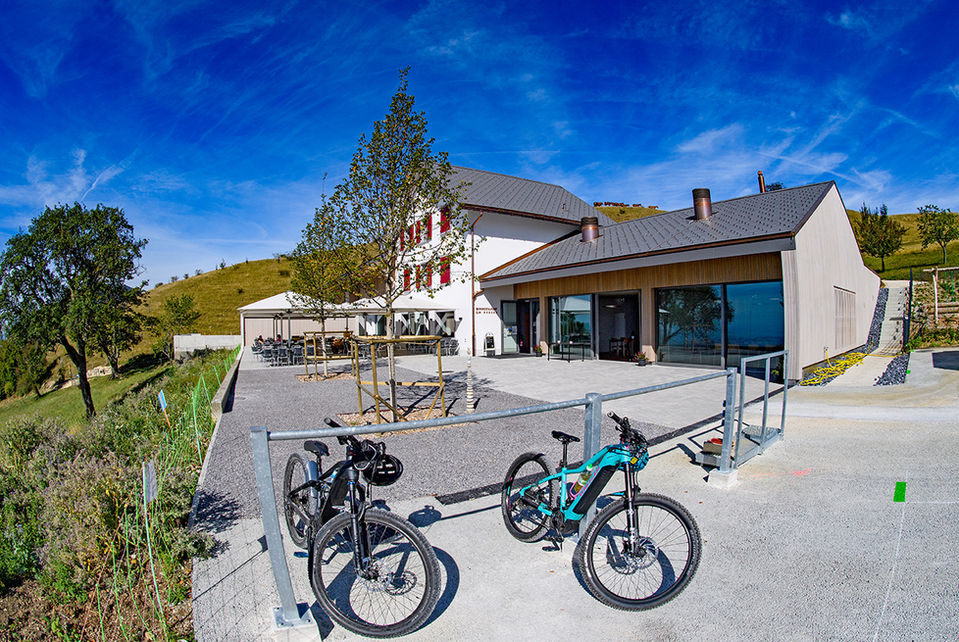 Restaurant zum Roggen Terasse