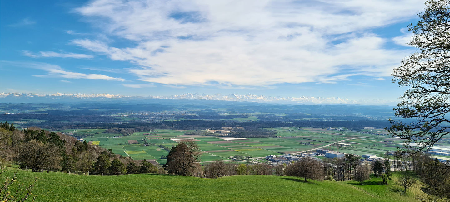 Restaurant zum Roggen Aussicht