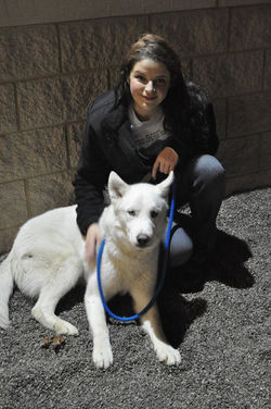 Becca Animal Shelter