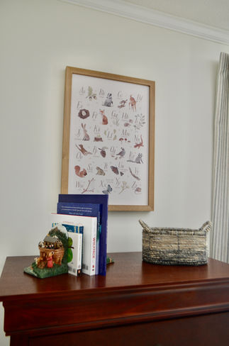Framed Canvas of Woodland Alphabet Print
