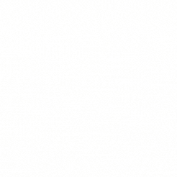 WS2024 600x600.gif