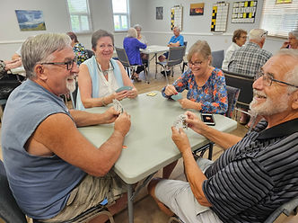 Having a good time playing Bid Euchre.