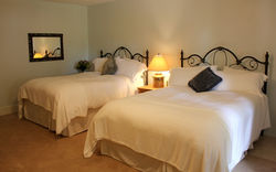 Estate Room                                                                                         