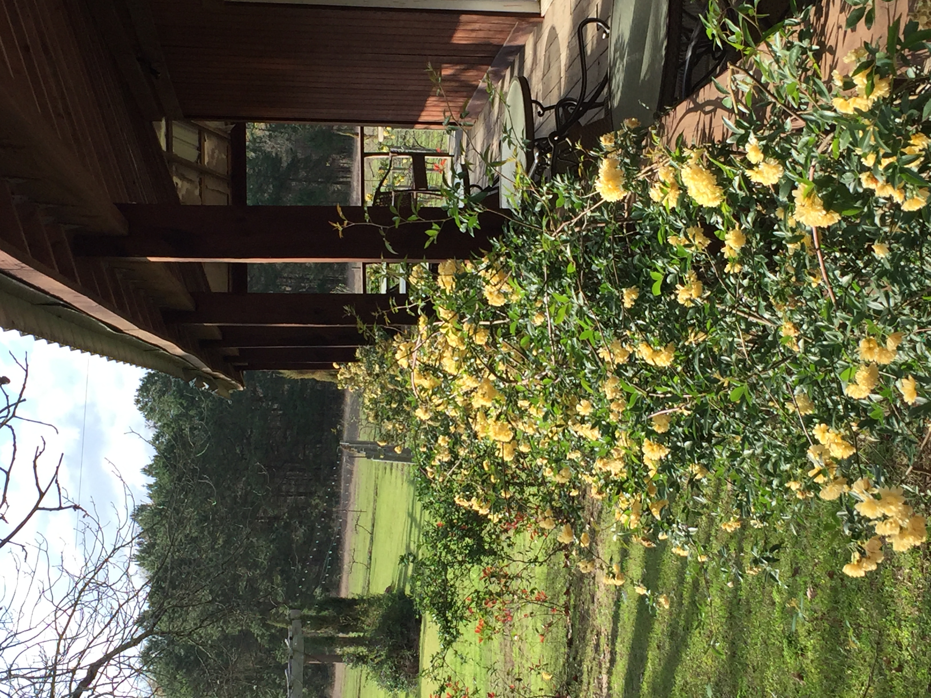 BED AND BREAKFAST PALESTINE TEXAS EAST TEXAS TOP RATED