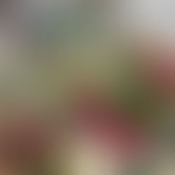 「夫婦は“ありがとう”でできている」