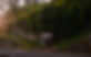 DSC_1748.jpg