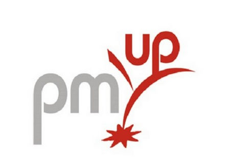 PM’up Jeunes pousses industrielles : une subvention plafonnée à 1M€ par projet.