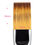 Thumbnail: FLAT BRUSH #6 - Sweet Sticks