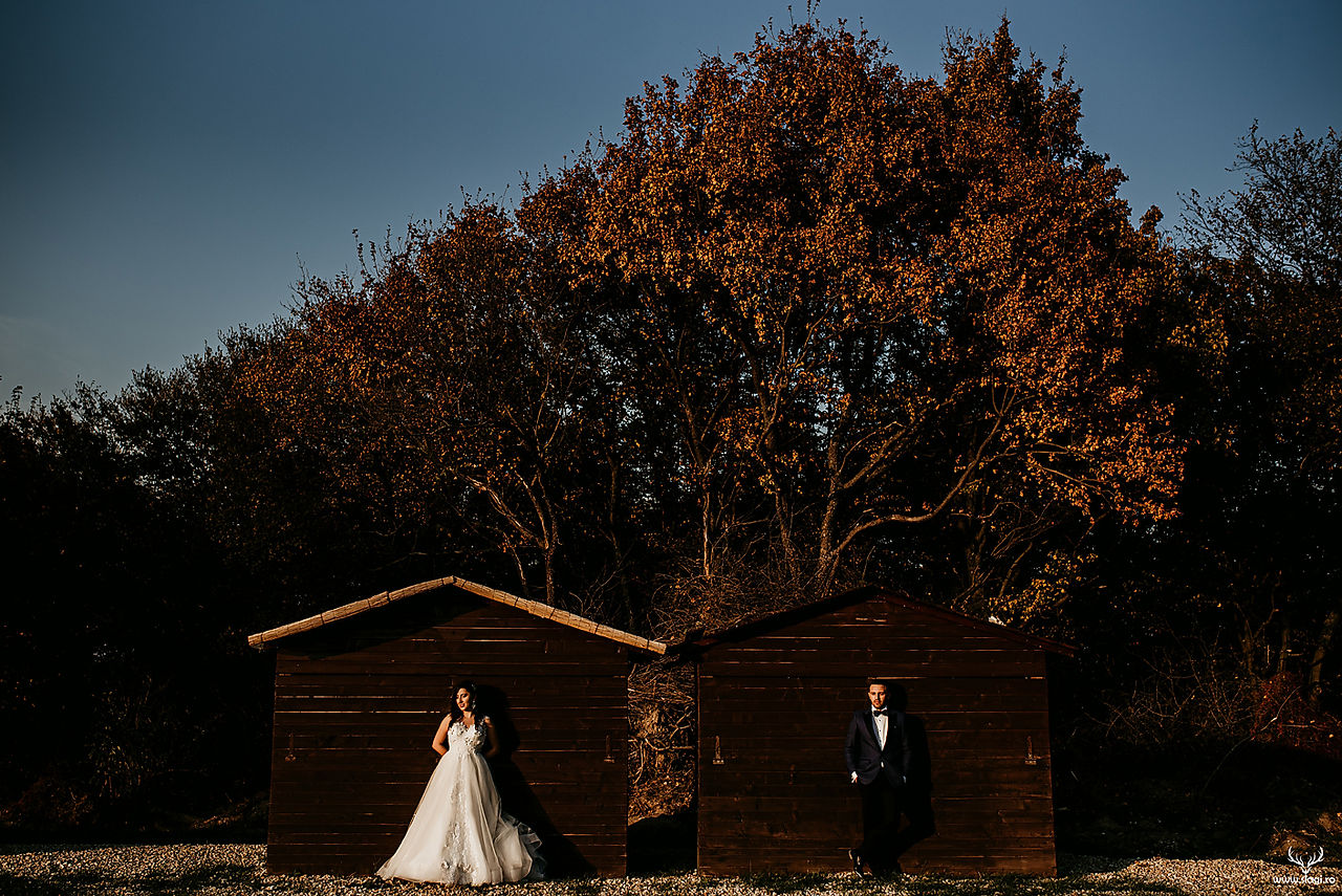 LTD-Madalina-si-Cosmin-1131