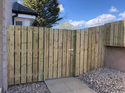 New Garden Fencing