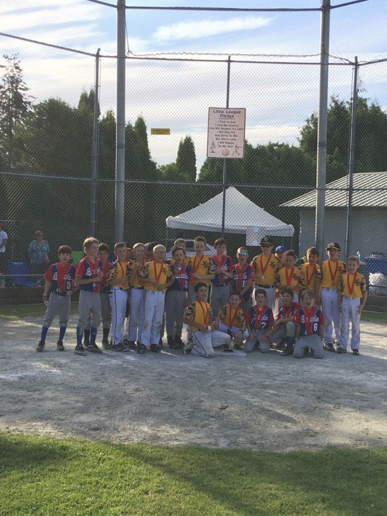 Jericho Little League Baseball