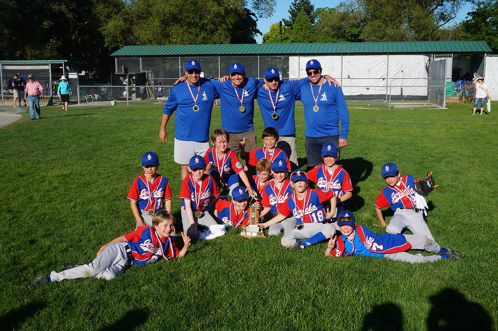 Jericho Little League Baseball Champions