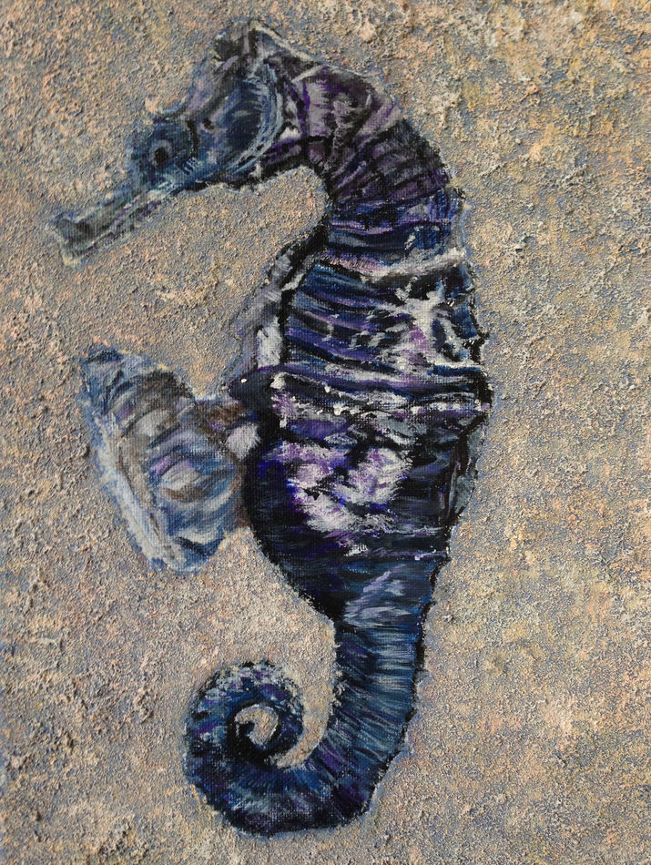Sunshine Coast Art, Sea Horse, Karen Webb Art, Gibsons British Columbia Canada