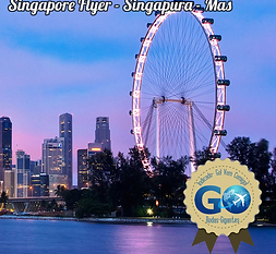 Singapore FlyeSiter.png