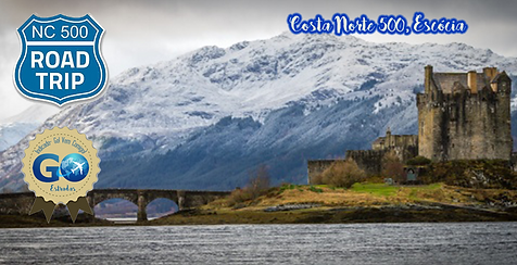 NC500.png