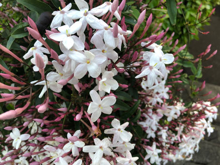 6月5日