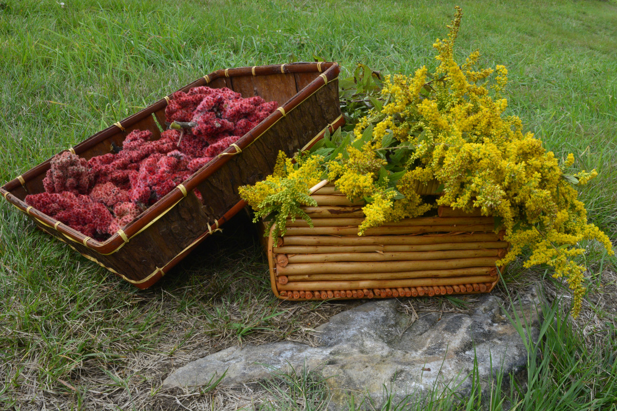 SHADY GROVE, LLC BOTANICALS/HERBS