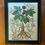 Thumbnail: GINSENG LIFECYCLE Art Print