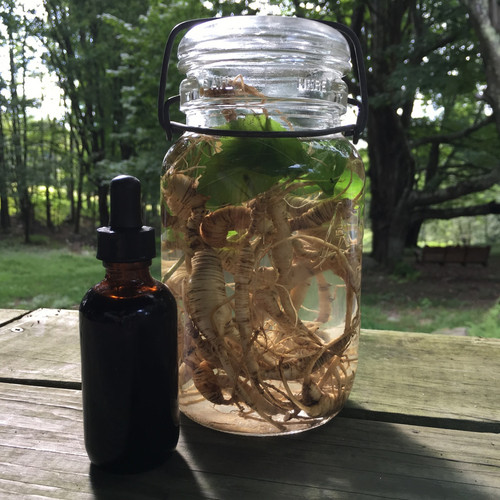 GINSENG TINCTURE website