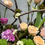 Thumbnail: Whispers of the Woodland