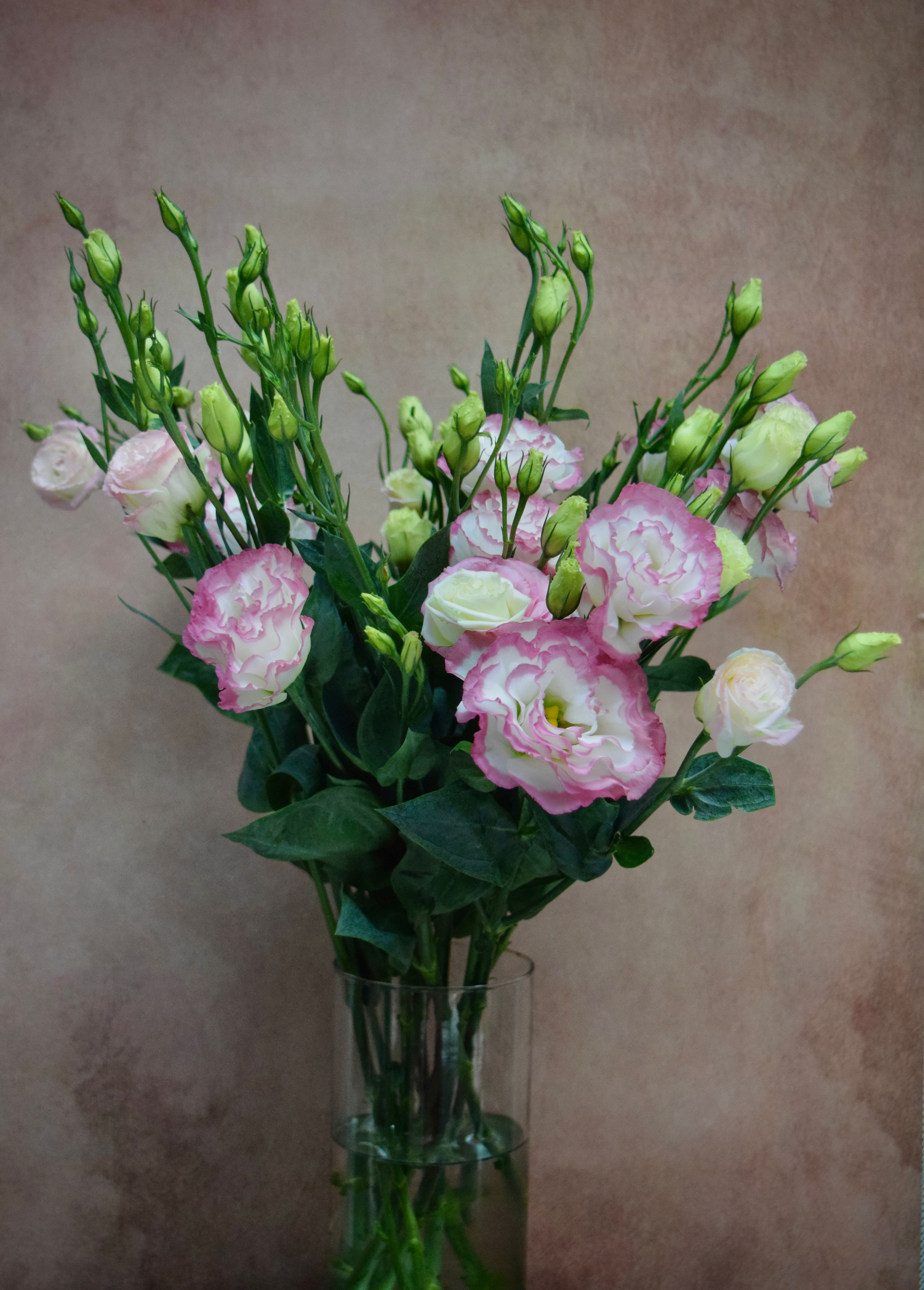 Lisianthus