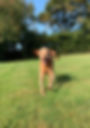 IMG_8386.jpeg