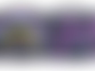 Vers une meilleure compréhension des origines des variabilités phénotypiques du syndrome de Usher de type 3