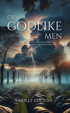 book cover Cover.jpg