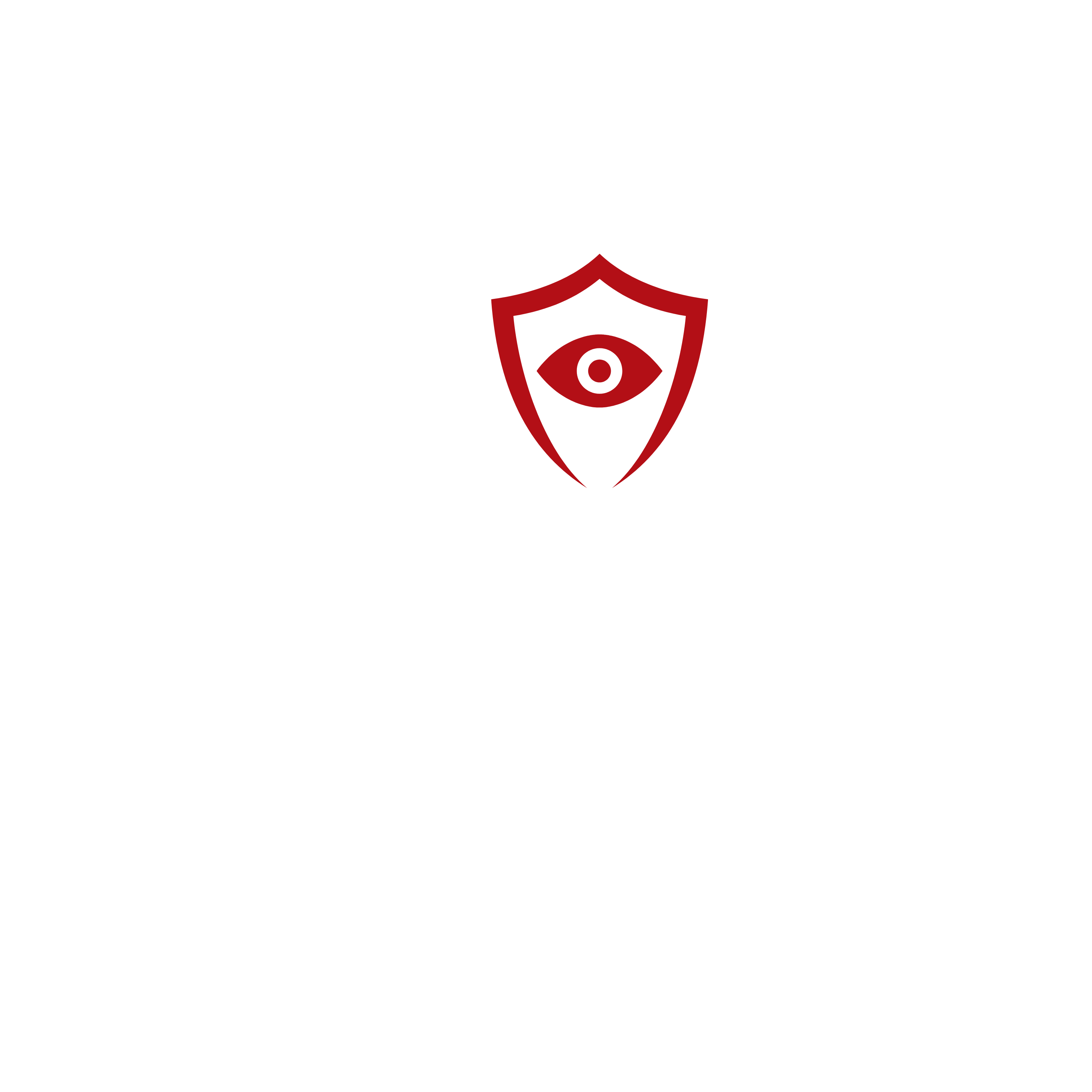 VIGIL APP LOGO