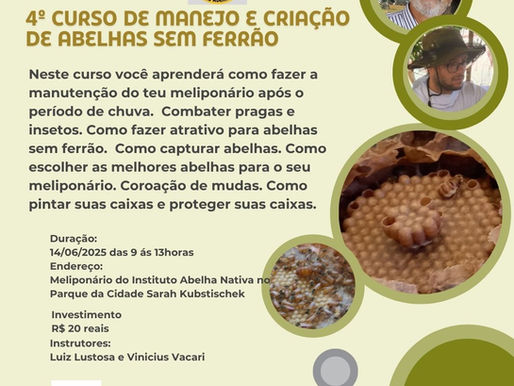 4º Curso de manejo e criação de abelhas sem ferrão