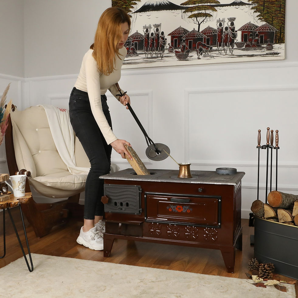 الصورة المصغرة: Wood Stove, Cooker Stove, Wood Burning Stove Cast Iron Stove, Oven Stove